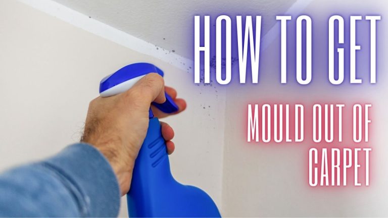 How To Get Mould Out Of Carpet